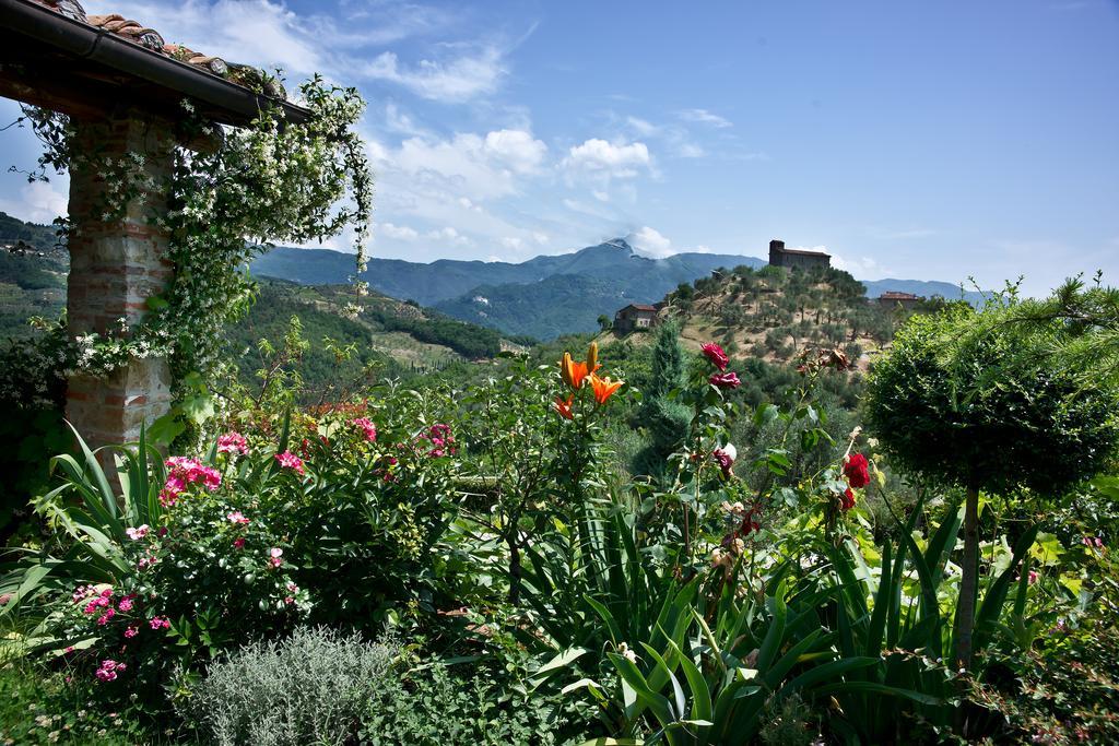 Suite Accommodation Lucca Exterior foto